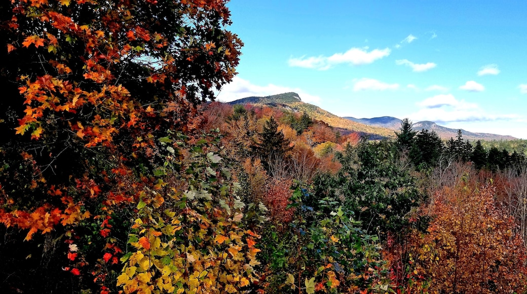 Searching for autumn colors on a road trip using Hwy. 112 in New Hampshire on October 12.
#GreatOutdoors #Kancamagus
#autumncolors