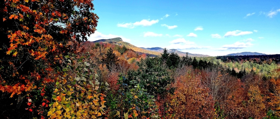 Searching for autumn colors on a road trip using Hwy. 112 in New Hampshire on October 12.
#GreatOutdoors #Kancamagus
#autumncolors