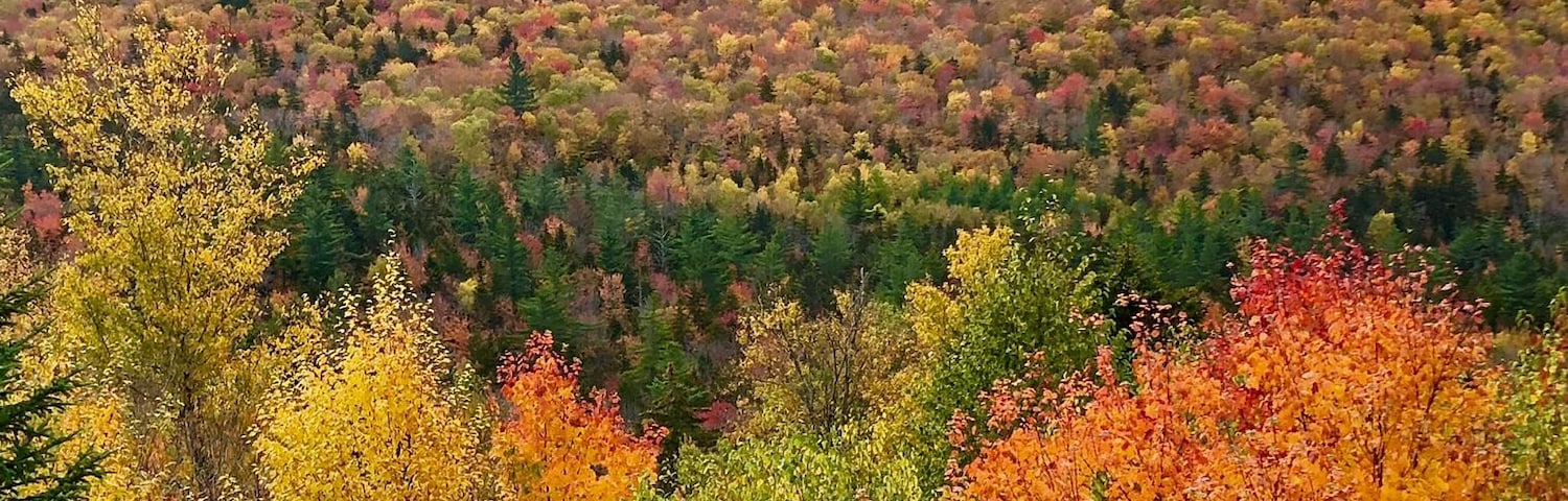 A Leaf-peepers dream! Easy pull off parking area right off the Kangamangus Highway in NH!