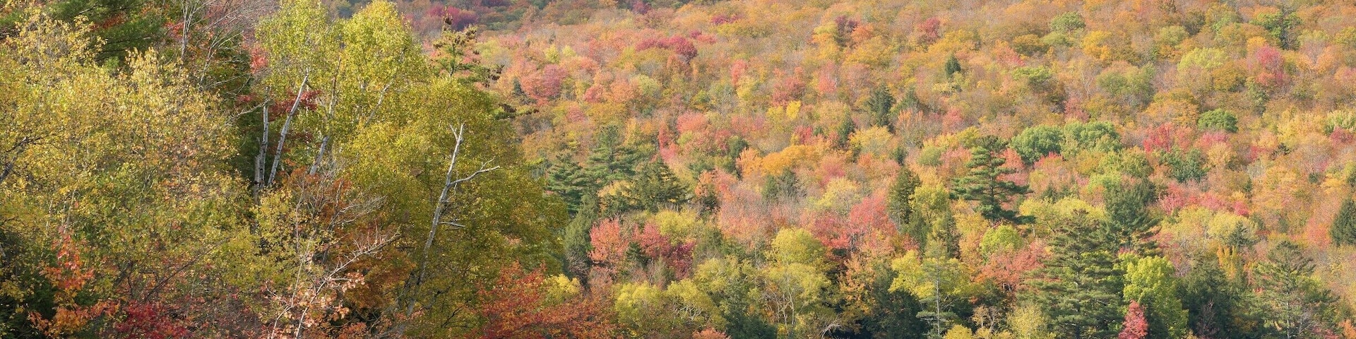 Mirror Lake - Fall Colors
