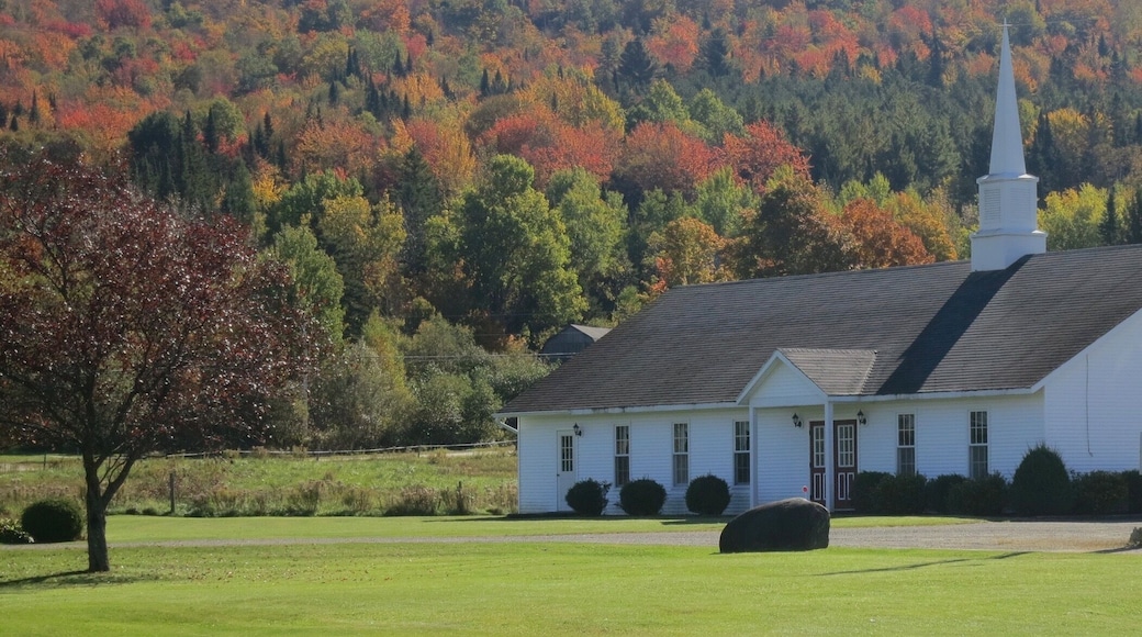 Check out the fall foliage map online (it’s accurate) and head North/East. #lifeatexpedia