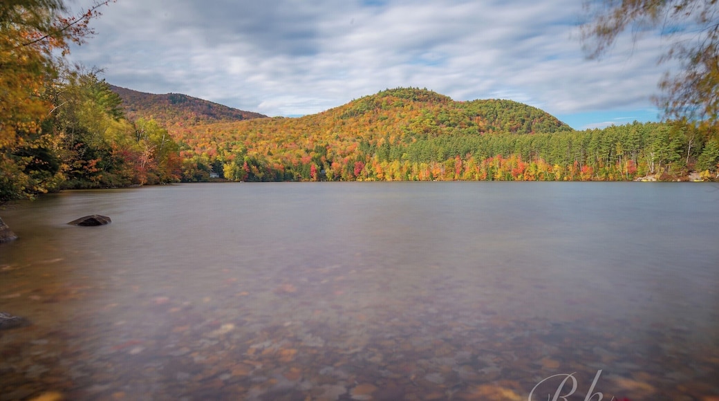 Mirror Lake
Fallen Leaves