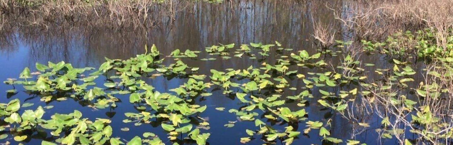 Just waiting till summer when the water lilies bloom!