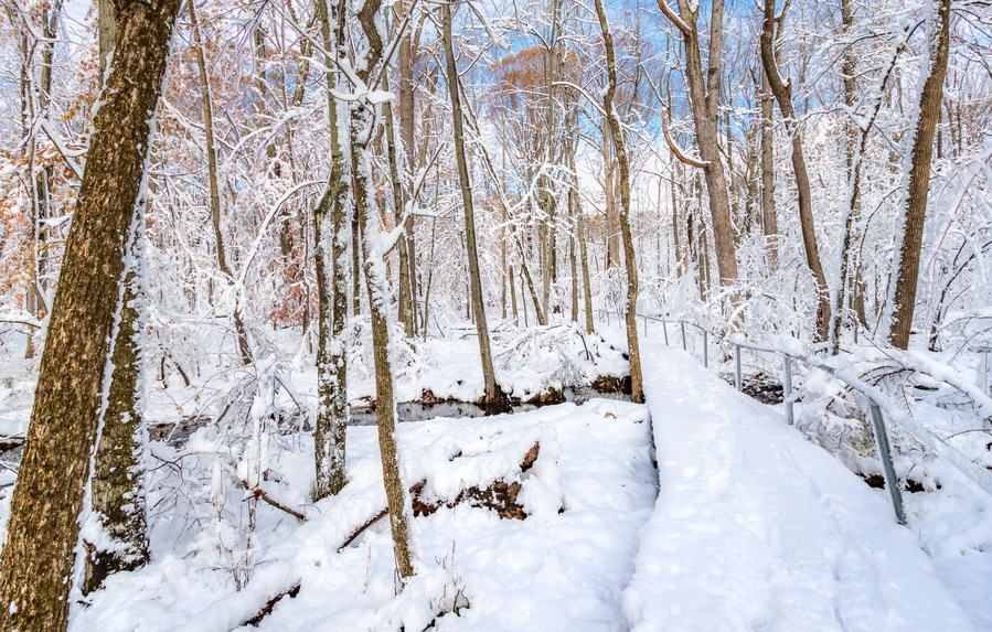 Trail through a forest covered by a thick layer of snow in a New Jersey park