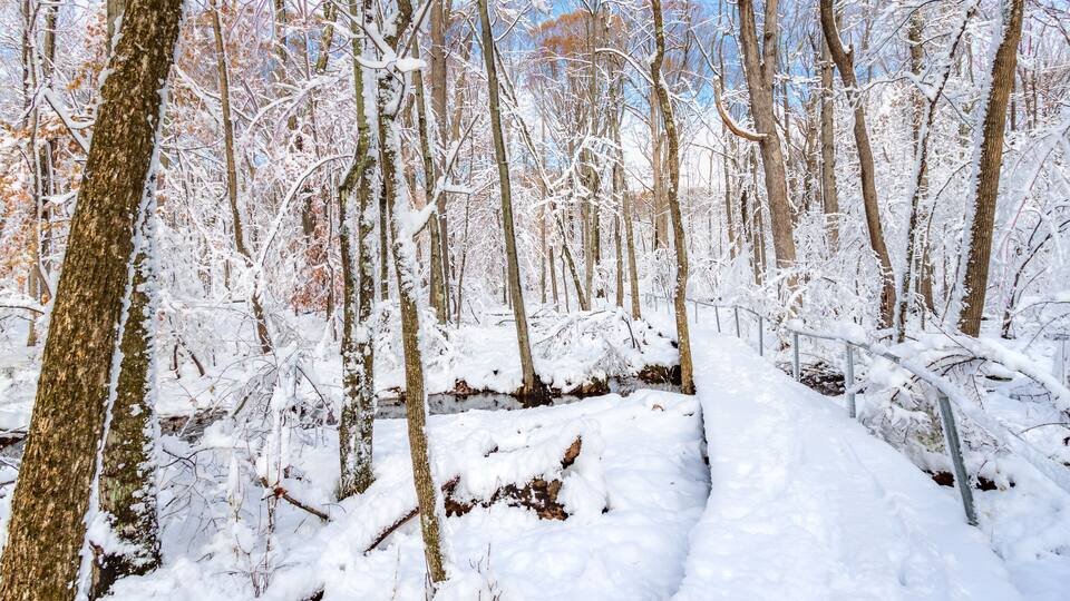 Trail through a forest covered by a thick layer of snow in a New Jersey park