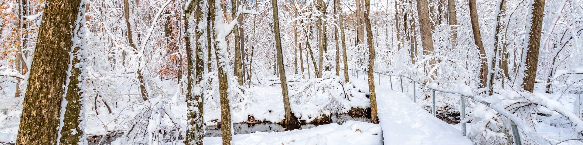 Trail through a forest covered by a thick layer of snow in a New Jersey park