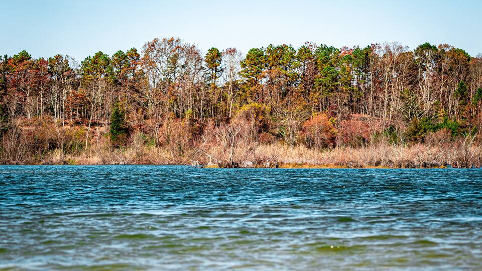 A calm lake with a forested shoreline.