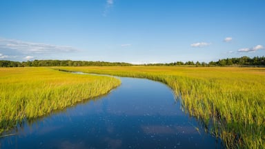 A calm river meandering through a lush green landscape under a clear blue sky.