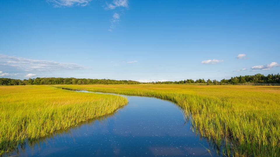 A calm river meandering through a lush green landscape under a clear blue sky.