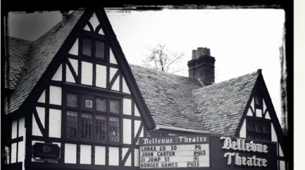 Not your ubiquitous multiplex ..