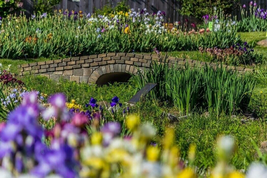 Beautiful photo spot when in in bloom