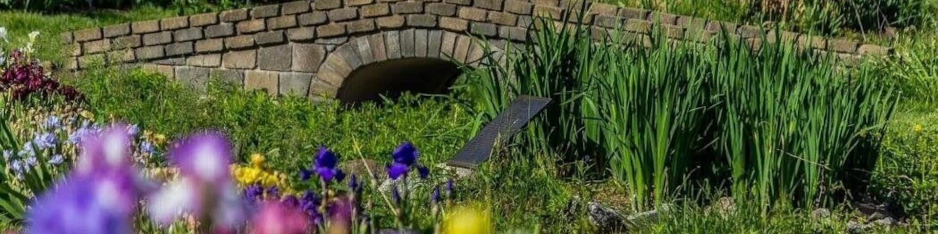 Beautiful photo spot when in in bloom