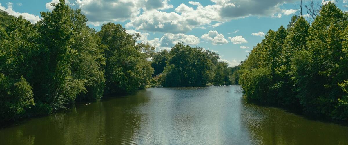 A river surrounded by dense green forest under a partly cloudy sky.