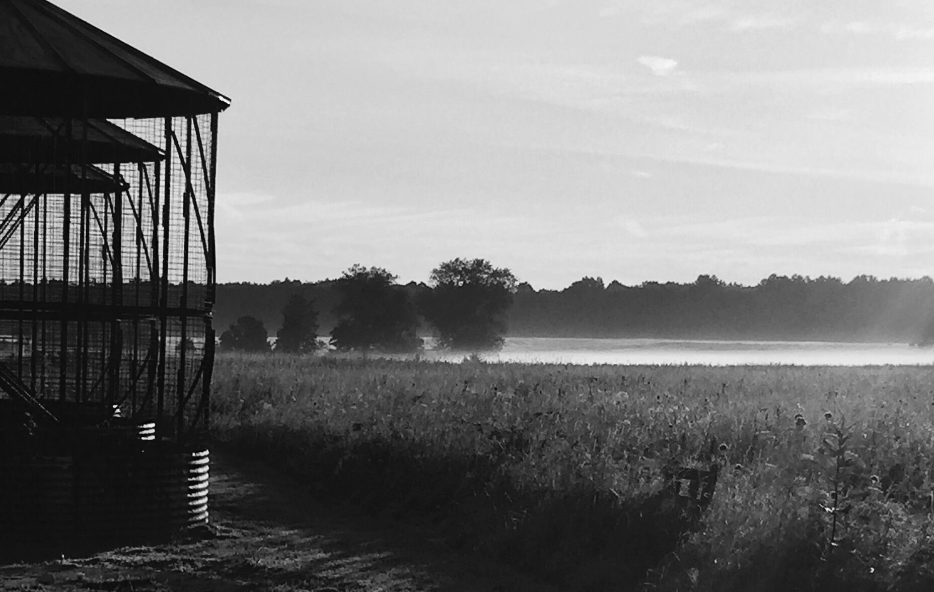 During an early morning bike ride, a light mist hovering over a grass  field located in the park system of Mercer Cty, New Jersey.