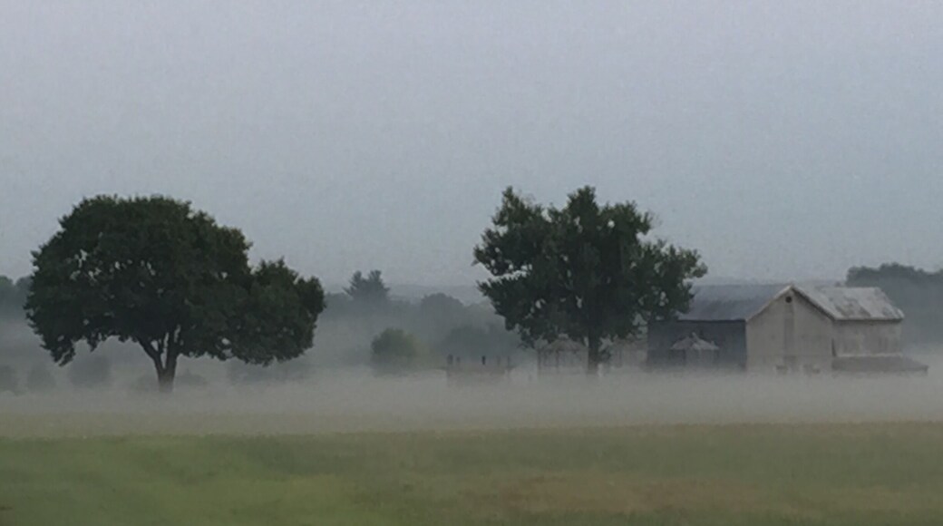 This is the location of AT&T's "Pole Farm". In the early 1900's AT&T had their scientist's search out coordinates for the optimum area to send radio wave signals for telephone usage. After extensive research they chose this spot in my area for the construction of hundreds of telephone poles erected in a diamond shape pattern.
There was one pole per country and it was pointed toward that country, predominantly in Europe and the Caribbean. So, in the early 1940's, for example, when president Franklin Roosevelt wanted to discuss WW2 war strategy with Winston Churchill in London, their telephone signals would meet at this spot.
There is only one pole that remains standing and it is believed to be pointed toward Tel Aviv, Israel.
The beginning of the end for the "pole farm" was the launch of the first communications satellite in the early 1960's