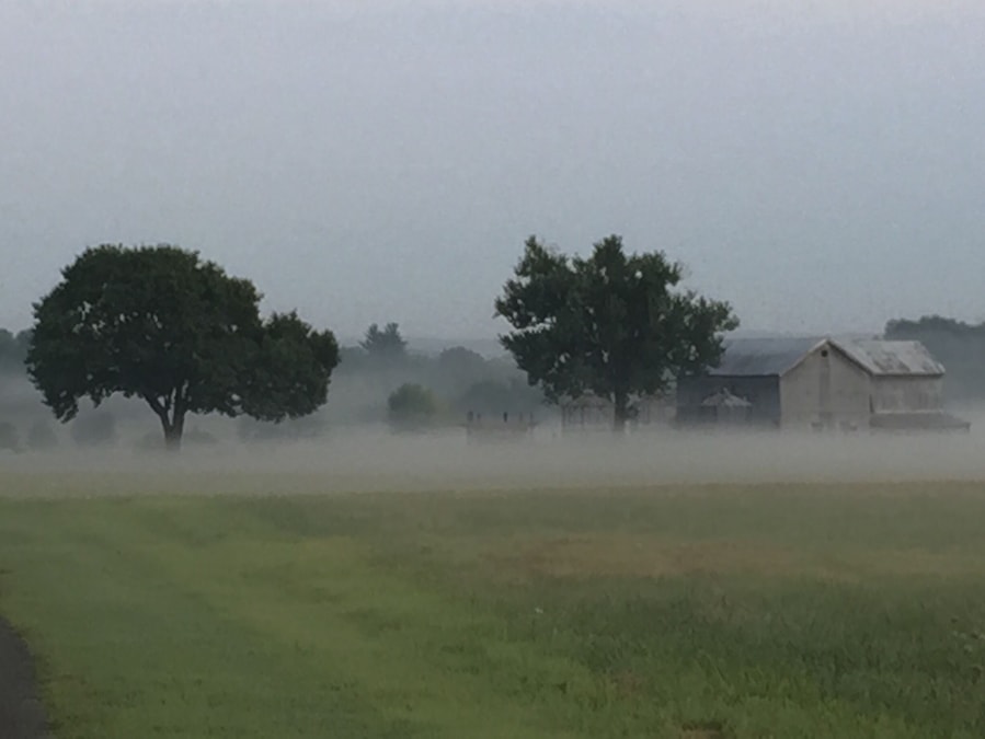 This is the location of AT&T's "Pole Farm". In the early 1900's AT&T had their scientist's search out coordinates for the optimum area to send radio wave signals for telephone usage. After extensive research they chose this spot in my area for the construction of hundreds of telephone poles erected in a diamond shape pattern. 
         There was one pole per country and it was pointed toward that country, predominantly in Europe and the Caribbean. So, in the early 1940's, for example, when president Franklin Roosevelt wanted to discuss WW2 war strategy with Winston Churchill in London, their telephone signals would meet at this spot.
       There is only one pole that remains standing and it is believed to be pointed toward Tel Aviv, Israel.
       The beginning of the end for the "pole farm" was the launch of the first communications satellite in the early 1960's