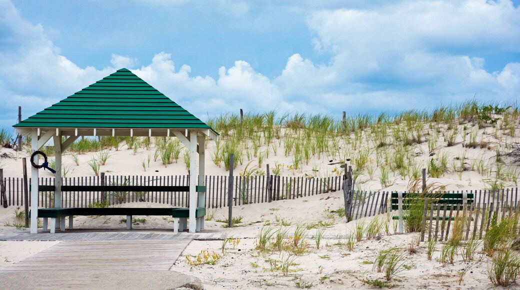 The sand dunes along the ocean in Seaside Park in New Jersey.; Shutterstock ID 478489636