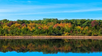 斯普林莱克高地