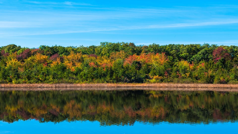 Looking over Old Mill Pond in Spring Lake Heights, NJ