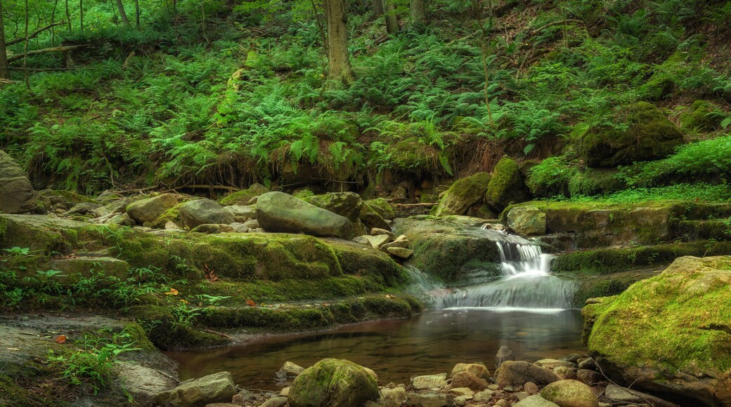 Dunnfield creek panorama