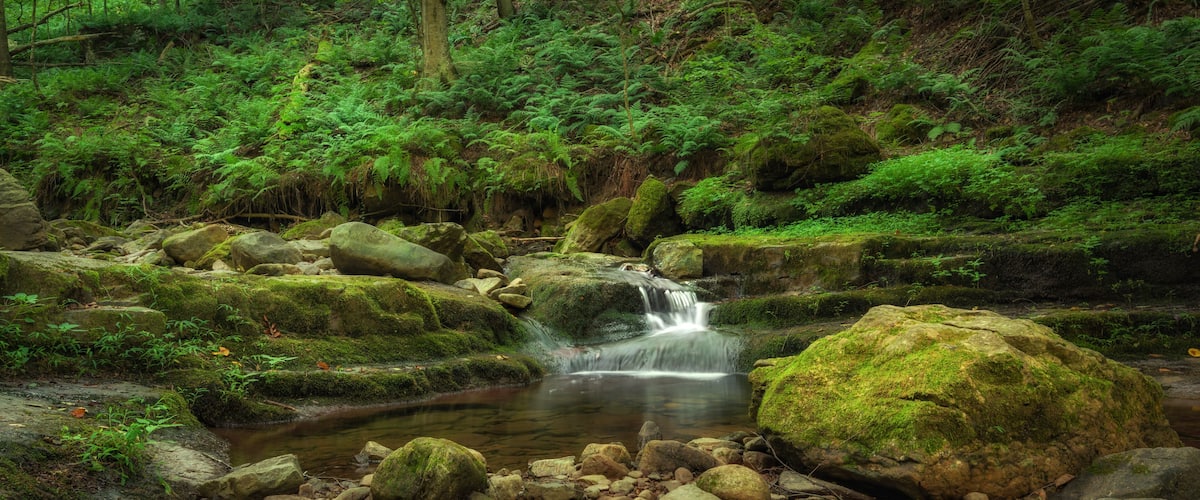 Dunnfield creek panorama