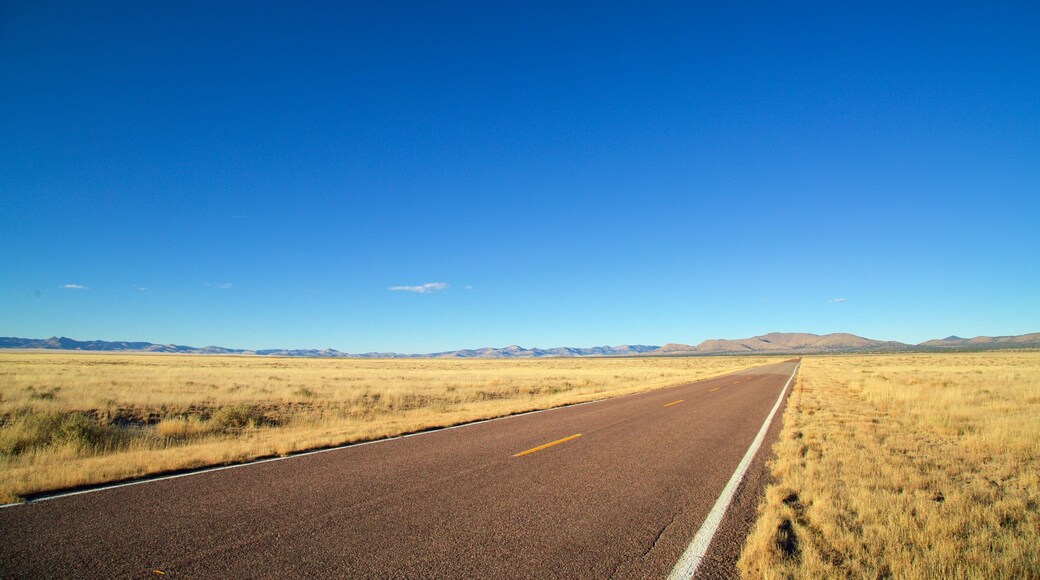 Magdalena ofreciendo escenas tranquilas