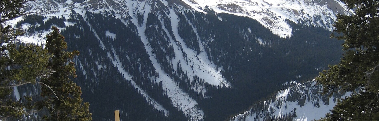 Skiing is probably the best thing in the world. I have been skiing since i was 7 years old and actually won a few medals #snow#