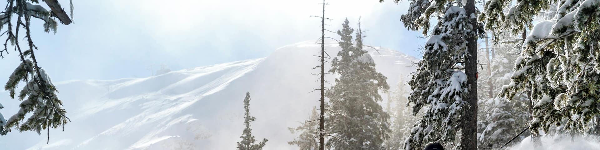 "Who heard of any snow in New Mexico?" #ADVENTURE