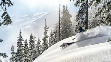 "Who heard of any snow in New Mexico?" #ADVENTURE