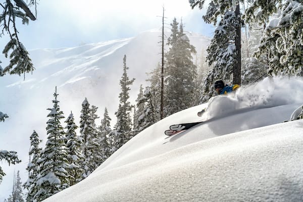 A skier on a snowy slope with snow-covered trees and a mountain in the background.