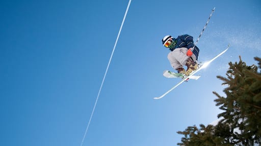 Extreme snow skier jumps through the air and over a tree at Taos Ski Valley, New Mexico.