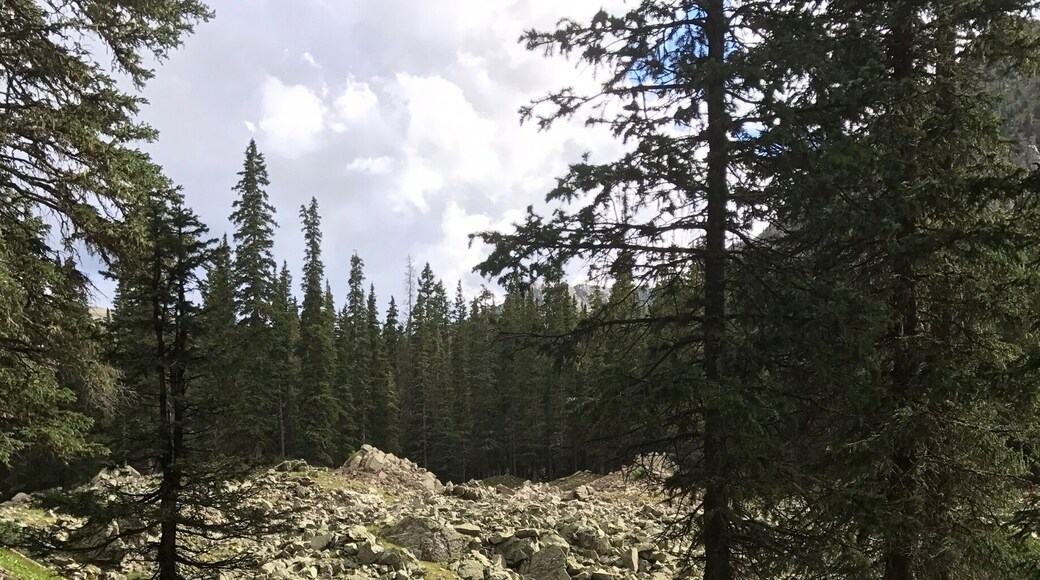 Just before reaching the lake and falls