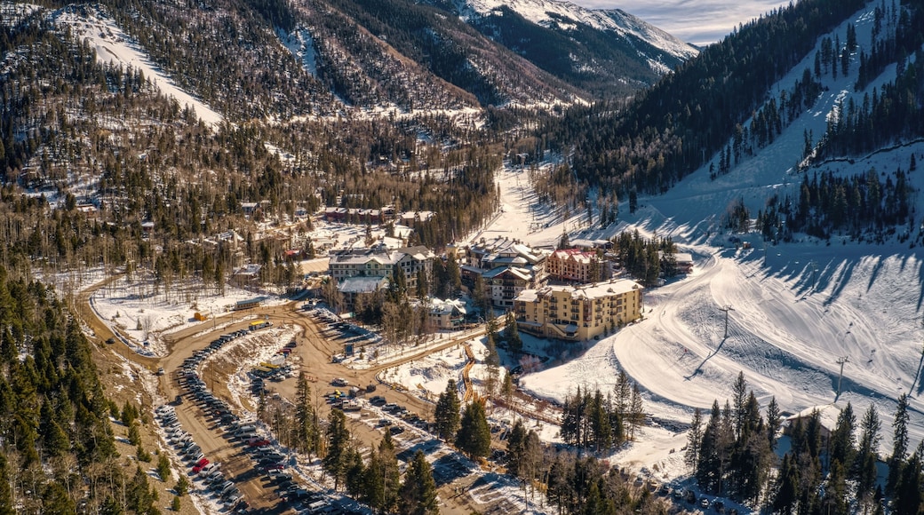 ํ์ค์ค ์คํค๋ฐธ๋ฆฌ