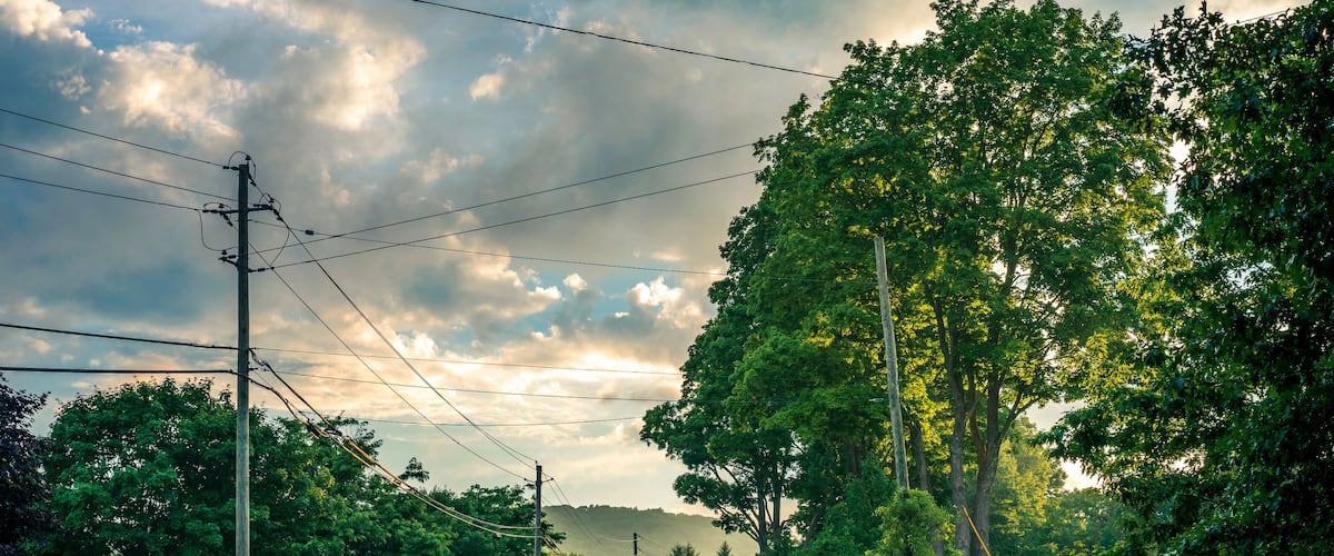 A rural road flanked by dense greenery and power lines under a cloudy sky.