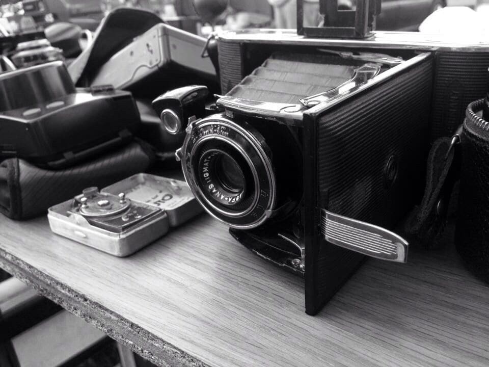 oh what curious finds.