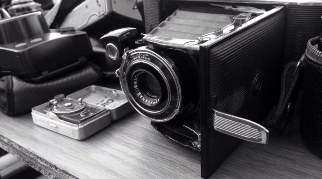 oh what curious finds.