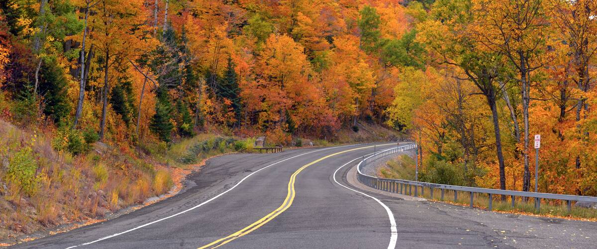 A winding road through a forest with autumn foliage.