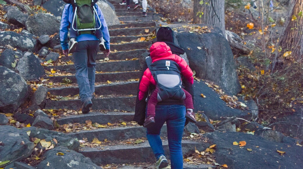 Hikers in Bear Mountain State Park