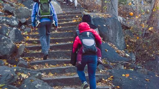 Hikers in Bear Mountain State Park