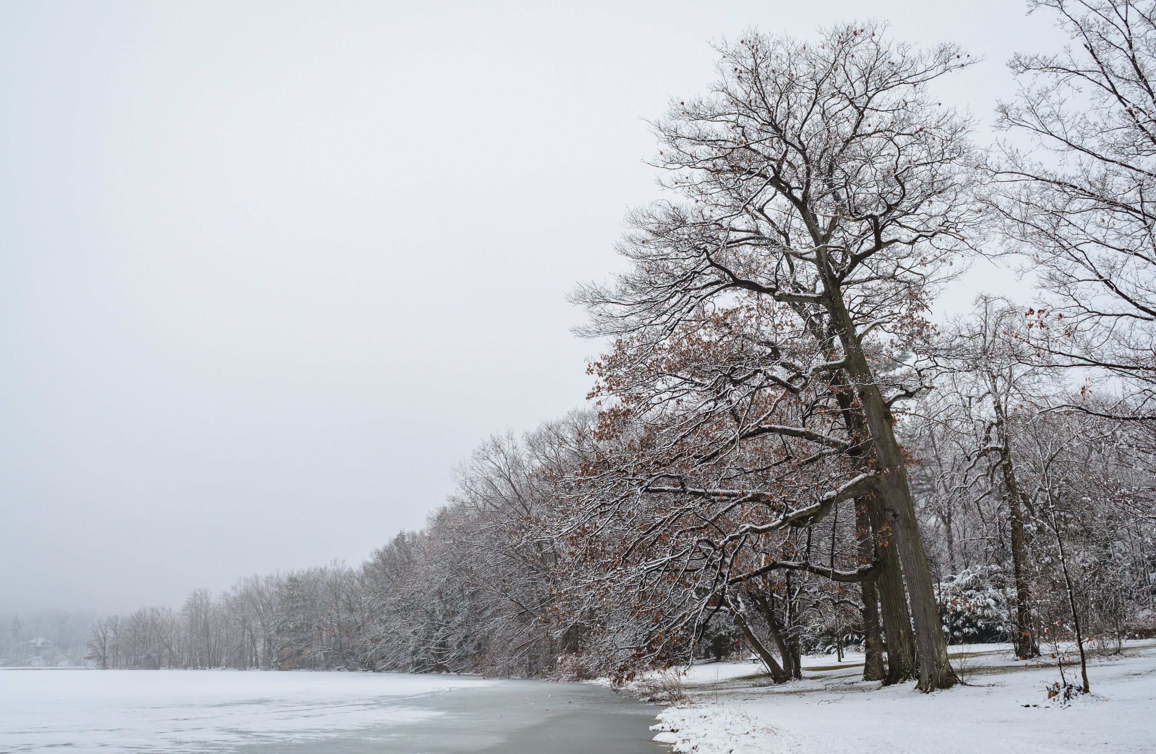 Long Point State Park