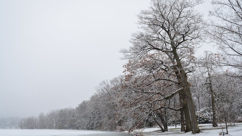 Long Point State Park