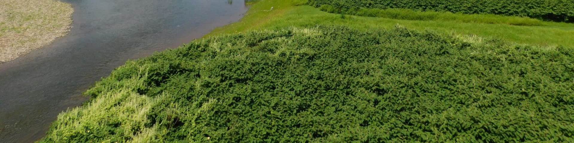 The Upper Delaware Water Gap- The Delaware River at Calicoon, NY.
#Adventure