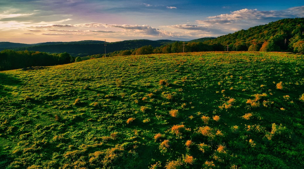 Aerial shot of a hill near Callicoon, in the Catskills area of upstate, New York