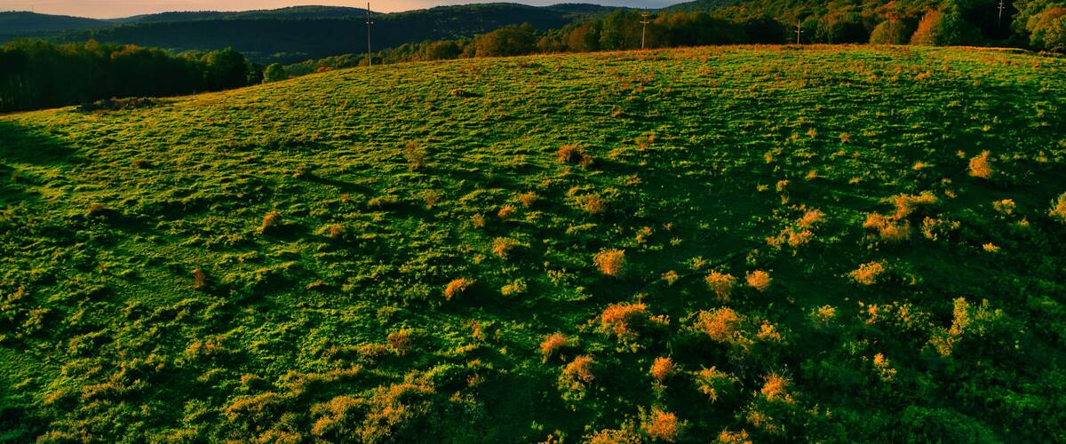 Aerial shot of a hill near Callicoon, in the Catskills area of upstate, New York