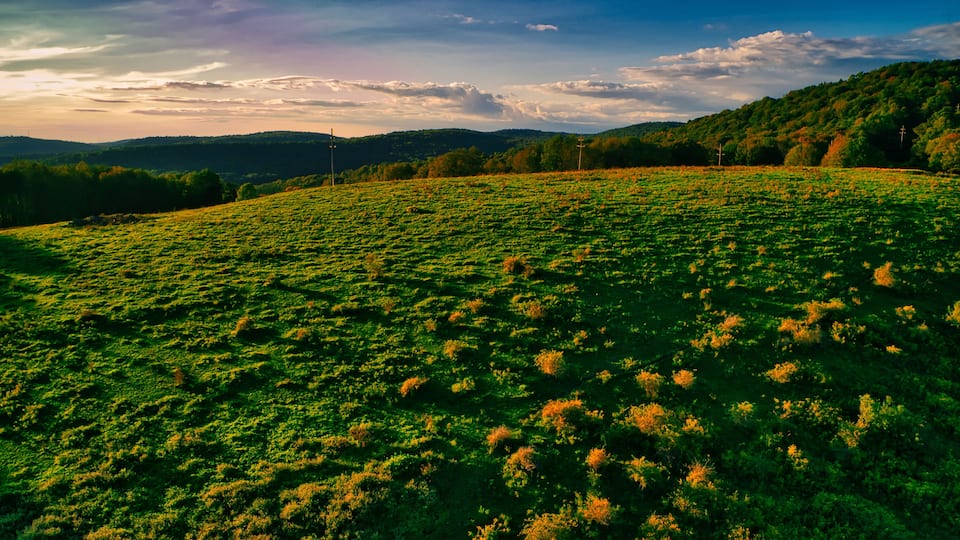 A lush green field with a hilly landscape in the background.