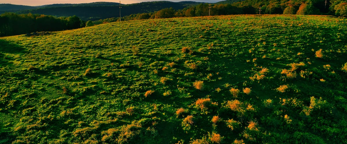 Aerial shot of a hill near Callicoon, in the Catskills area of upstate, New York