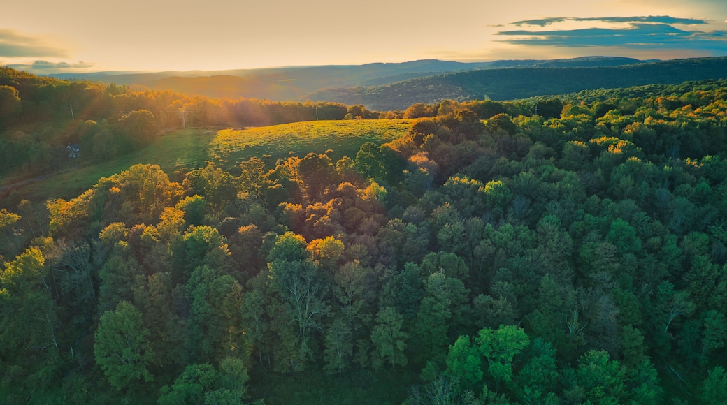 Aerial shot of a hill near Callicoon, in the Catskills area of upstate, New York