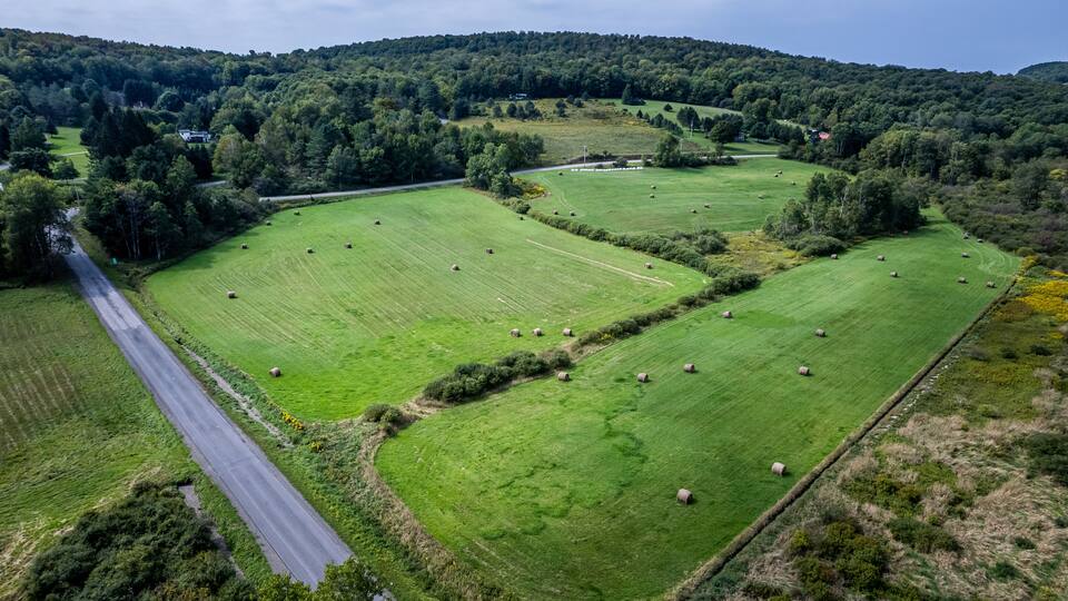 A rural landscape with rolling hills, green fields, and scattered sheep grazing.
