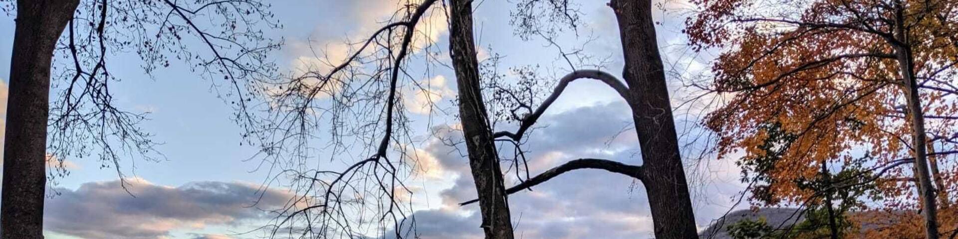 Nice place for a stroll! #LifeAtExpediaGroup