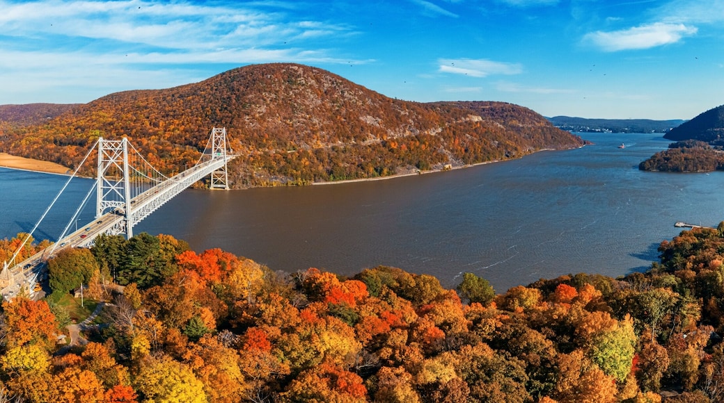 Coxsackie
